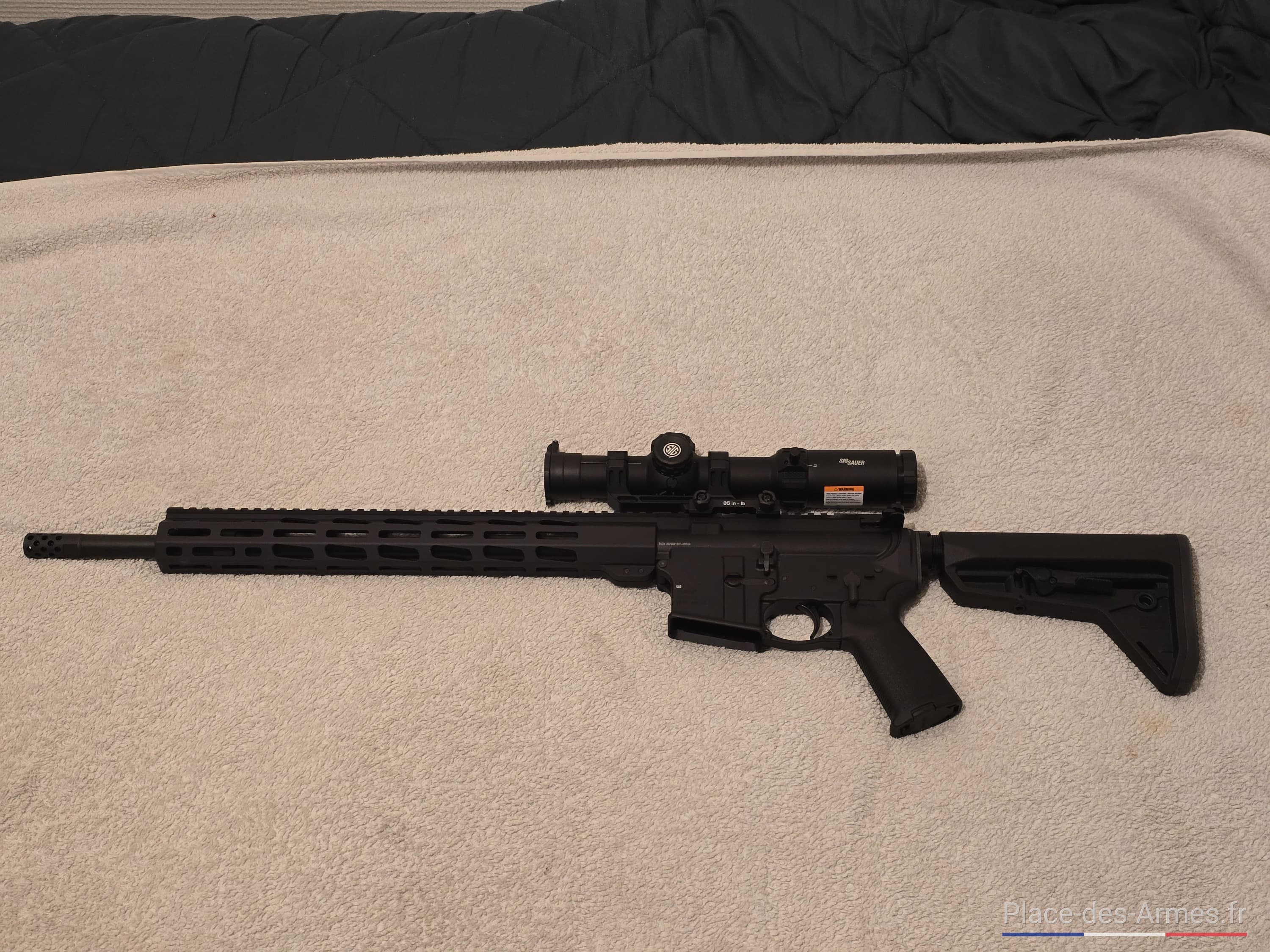 AR15 Ruger ar556 